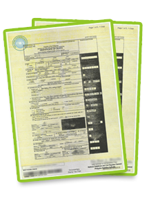 PSA Birth Certificate